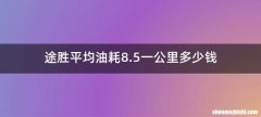 途胜平均油耗8.5一公里多少钱