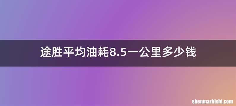 途胜平均油耗8.5一公里多少钱