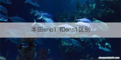 本田enp1 和ens1区别