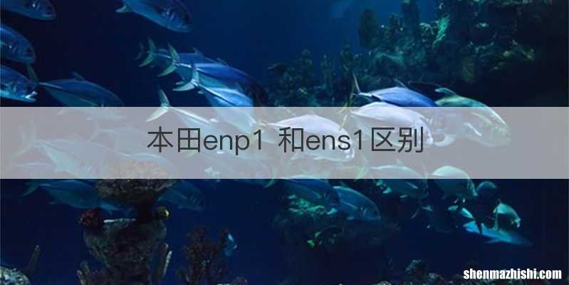 本田enp1 和ens1区别