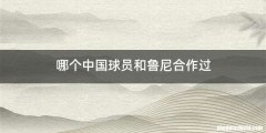 哪个中国球员和鲁尼合作过
