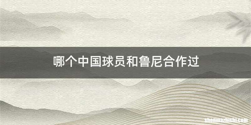 哪个中国球员和鲁尼合作过