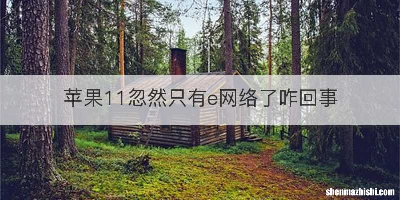 苹果11忽然只有e网络了咋回事
