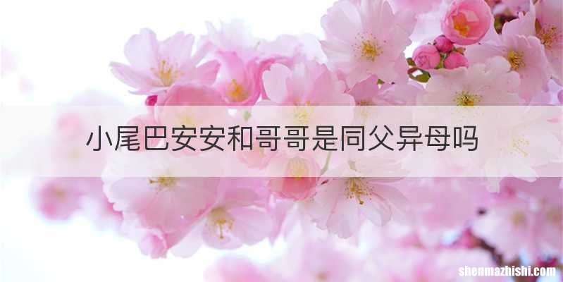 小尾巴安安和哥哥是同父异母吗