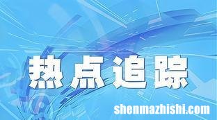 西班牙足球队教练