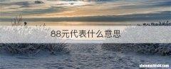 88元代表什么意思