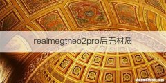 realmegtneo2pro后壳材质