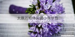 太原万柏林实验小学学费