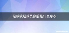 足球欧冠球员穿的是什么球衣