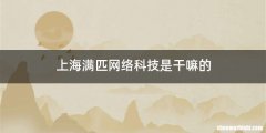 上海满匹网络科技是干嘛的