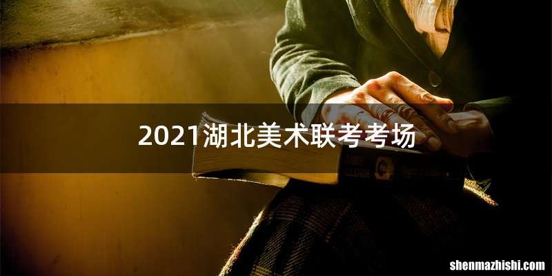 2021湖北美术联考考场