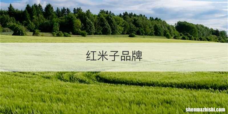 红米子品牌