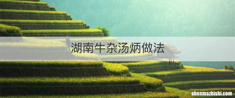 湖南牛杂汤炳做法