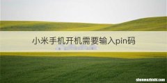 小米手机开机需要输入pin码