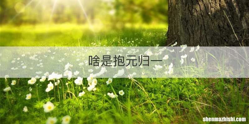 啥是抱元归一