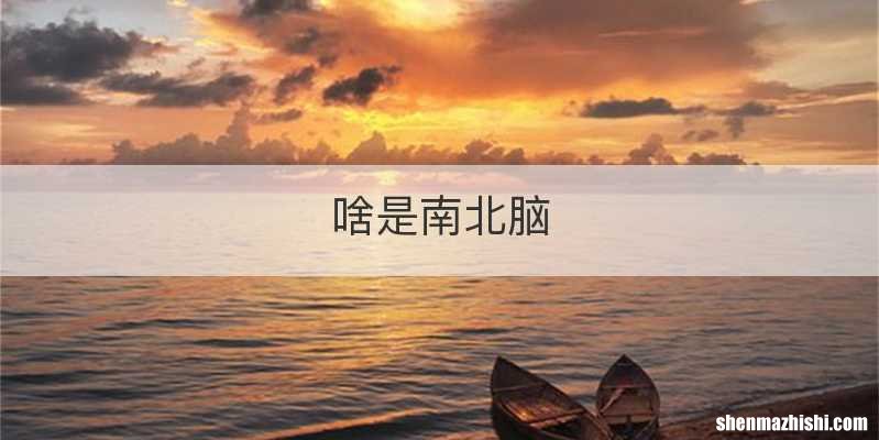 啥是南北脑