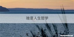 啥是人生哲学