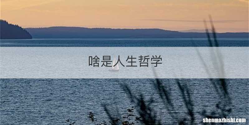啥是人生哲学