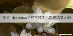 苹果14promax不经常换手机需要选多大的