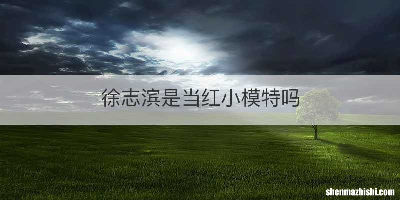 徐志滨是当红小模特吗