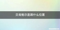 贝肯鲍尔是踢什么位置