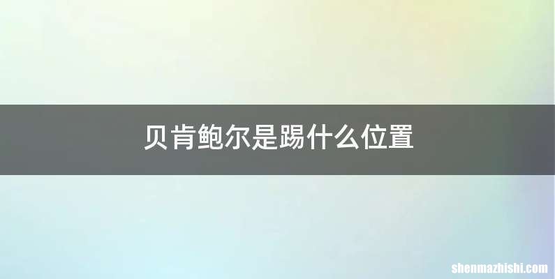 贝肯鲍尔是踢什么位置
