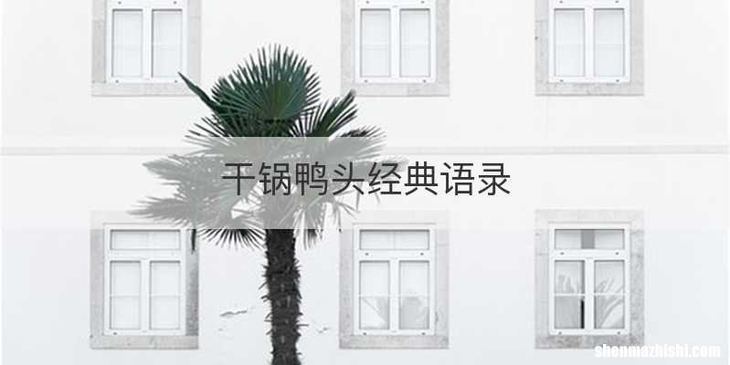 干锅鸭头经典语录