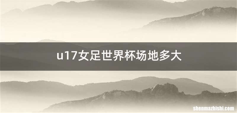 u17女足世界杯场地多大