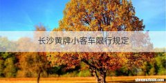 长沙黄牌小客车限行规定