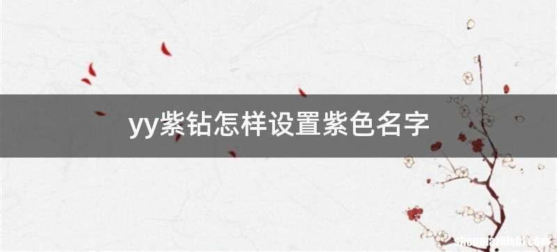 yy紫钻怎样设置紫色名字