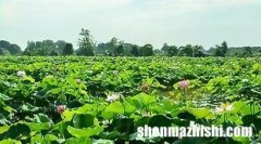 篮球场三分线构图方法