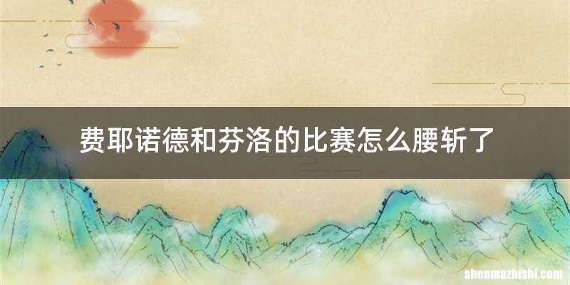 费耶诺德和芬洛的比赛怎么腰斩了