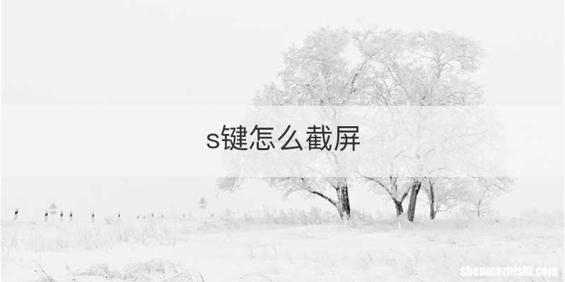 s键怎么截屏