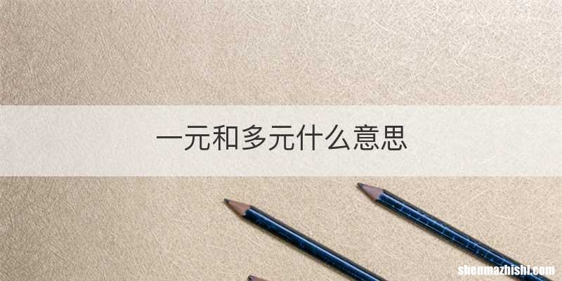 一元和多元什么意思