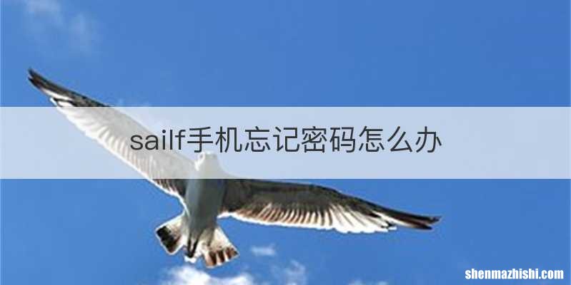 sailf手机忘记密码怎么办