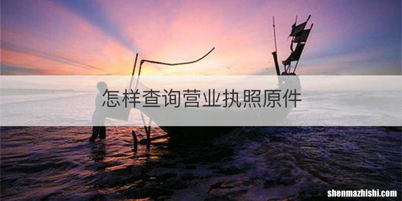 怎样查询营业执照原件