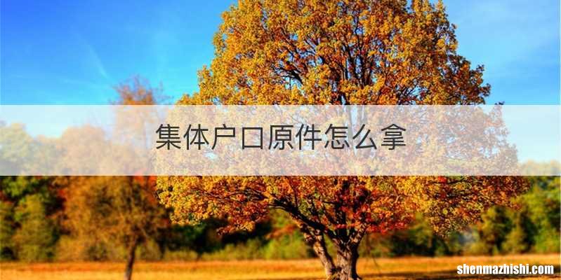 集体户口原件怎么拿