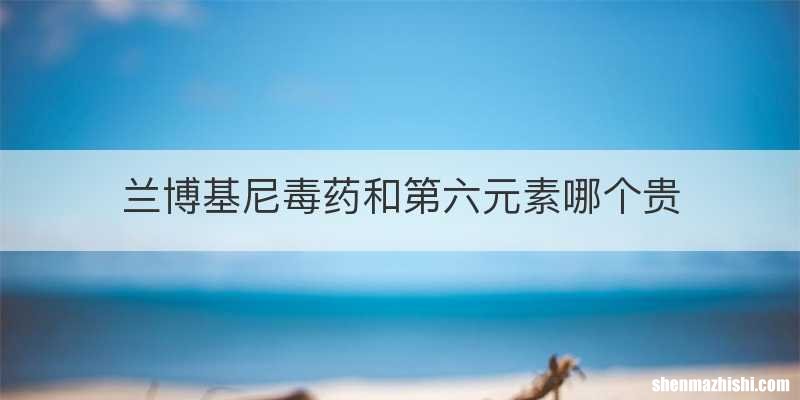 兰博基尼毒药和第六元素哪个贵