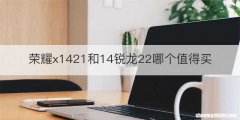 荣耀x1421和14锐龙22哪个值得买