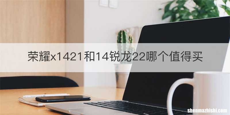 荣耀x1421和14锐龙22哪个值得买