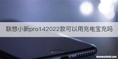 联想小新pro142022款可以用充电宝充吗