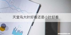 天堂鸟大叶好看还是小叶好看