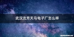 武汉流芳天马电子厂怎么样