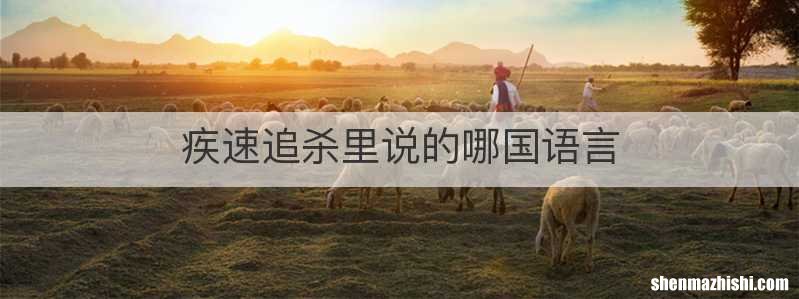 疾速追杀里说的哪国语言