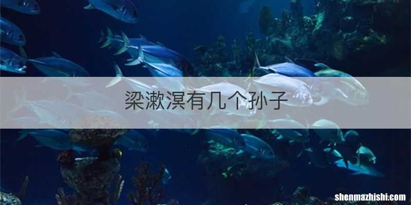 梁漱溟有几个孙子