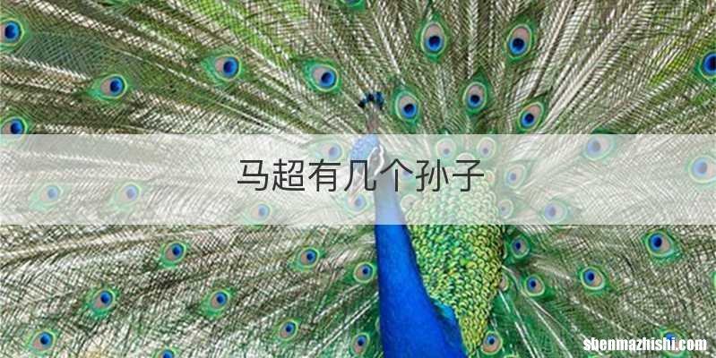 马超有几个孙子