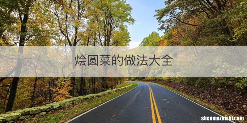 烩圆菜的做法大全