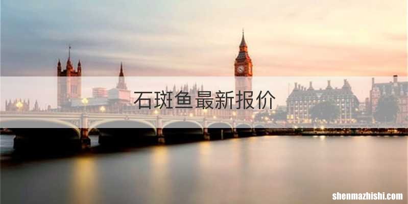 石斑鱼最新报价
