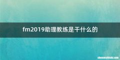 fm2019助理教练是干什么的