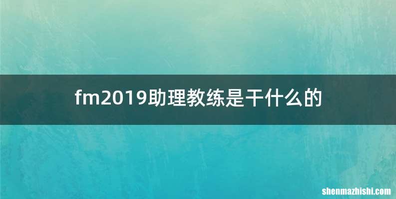fm2019助理教练是干什么的